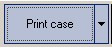Print Case button