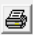 Print Button